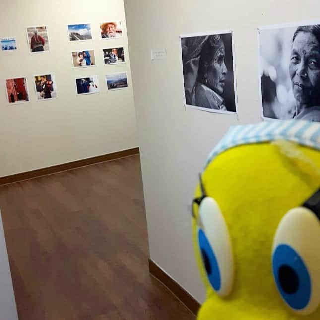 Little Yellow Birdさんのインスタグラム写真 - (Little Yellow BirdInstagram)「It's raining today, so no beaches for me but a museum instead: Namhaebaraegil Small Art Museum. Actually, it was more the Tiny Art Museum😉 #littleyellowbird #tweety #tweetykweelapis #adventures #yellow #bird #namhae #남해 #museum #smallartmuseum #southkorea #zuidkorea #korea #art #photography #mydearasia #rainyday #rain #travel #traveling #wanderlust #asia #stuffedanimalsofinstagram #plushiesofinstagram」5月18日 16時11分 - tweetykweelapis