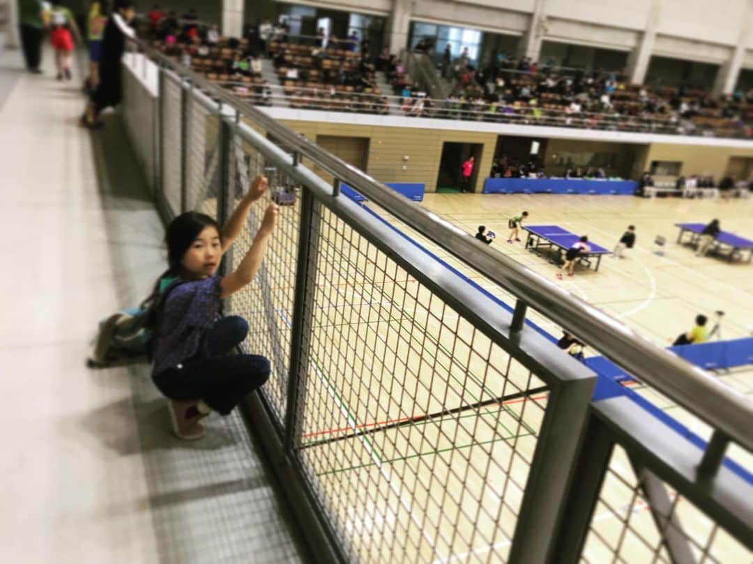 のインスタグラム：「そして今日は、小学生の全国大会を見てきました。 張本妹がいた。 #実は卓球女子」