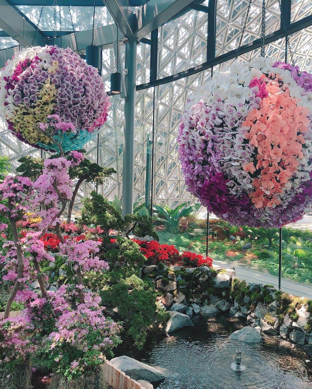 畑田亜希さんのインスタグラム写真 - (畑田亜希Instagram)「🌷 Floral Fantasy 🌷 ・ ・  at Gardens by the Bay ・ ・ 🌸🌼お花に囲まれる幸せ🌸🌼 ・ ・ #2019 #sg #gardensbythebay #floralfantasy #ギリギリ行けてよかった #シンガポール巡り」5月18日 17時38分 - akihatada