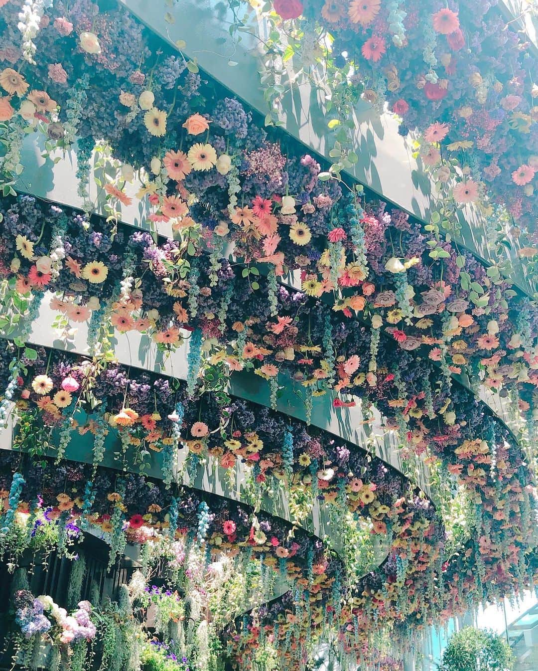 畑田亜希さんのインスタグラム写真 - (畑田亜希Instagram)「🌷 Floral Fantasy 🌷 ・ ・  at Gardens by the Bay ・ ・ 🌸🌼お花に囲まれる幸せ🌸🌼 ・ ・ #2019 #sg #gardensbythebay #floralfantasy #ギリギリ行けてよかった #シンガポール巡り」5月18日 17時38分 - akihatada