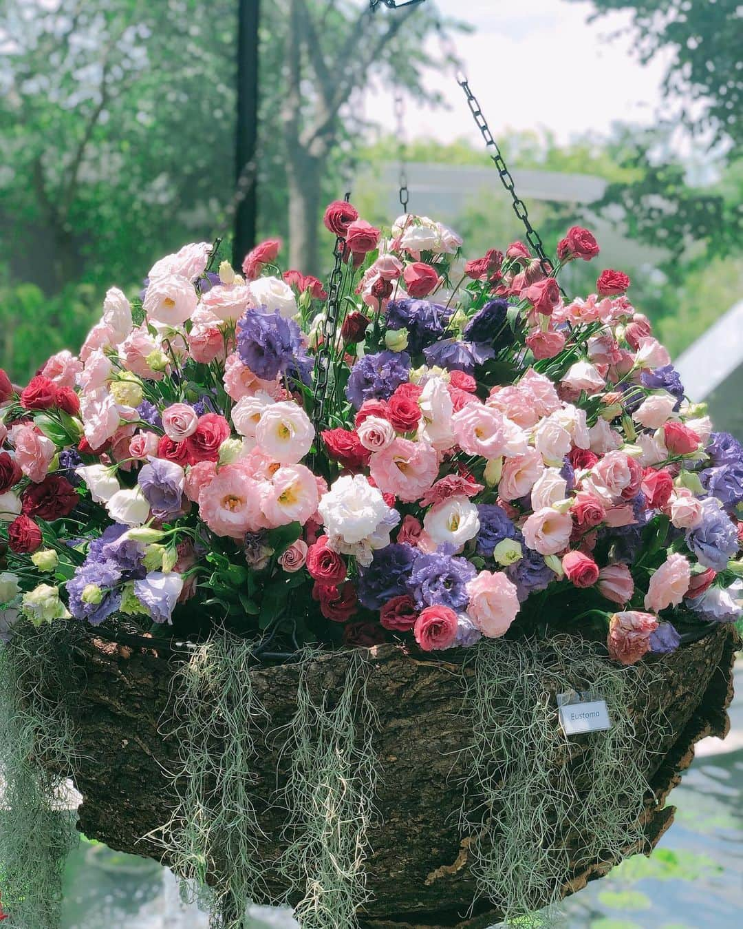 畑田亜希さんのインスタグラム写真 - (畑田亜希Instagram)「🌷 Floral Fantasy 🌷 ・ ・  at Gardens by the Bay ・ ・ 🌸🌼お花に囲まれる幸せ🌸🌼 ・ ・ #2019 #sg #gardensbythebay #floralfantasy #ギリギリ行けてよかった #シンガポール巡り」5月18日 17時38分 - akihatada