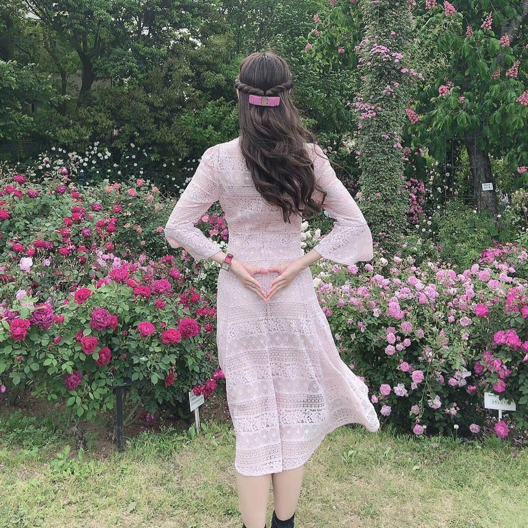 藤岡静香のインスタグラム：「京成バラ園🌹✨ インスタ女子してみた🤣🤣ww 薔薇の香りに癒された休日❤️ #pink #大好き #可愛いものが好き  #京成バラ園 #インスタ映え  #インスタ女子  #薔薇 #素敵な休日 #snidel #salvatoreferragamo #instagood  #like4likes  #rose」