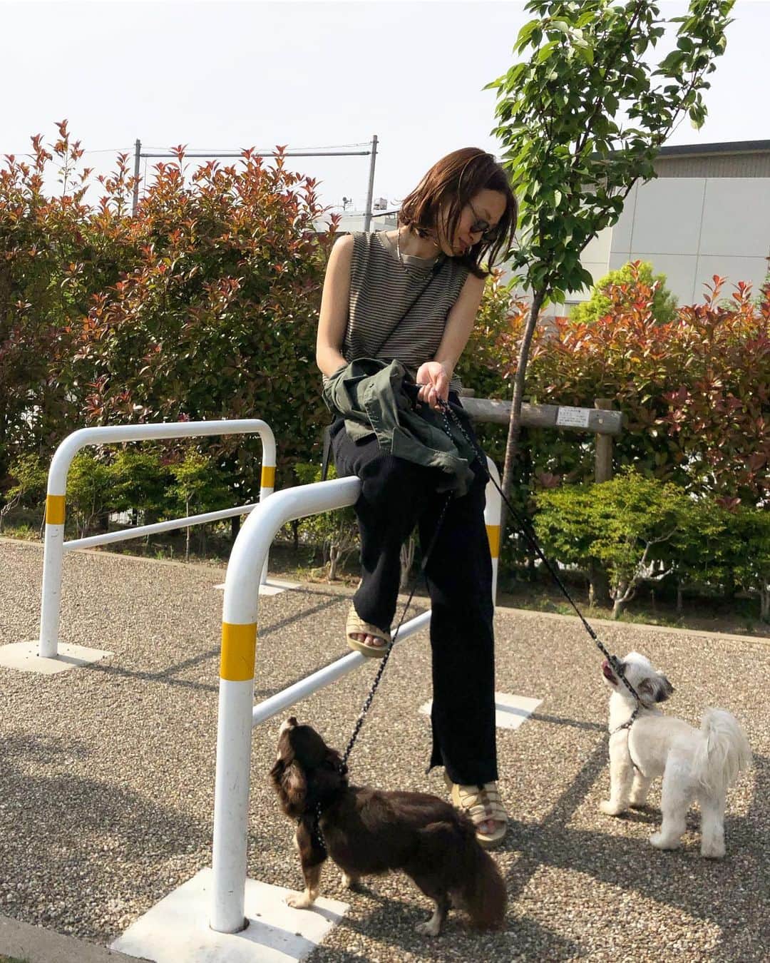 のインスタグラム：「久しぶりの癒されデー🥺🧡🧡 いつの間にかココアよりあんずの方が大きい😇 #最高の休日 #mihonano #ノースリーブデビュー #suicoke #大好きなワンコロたち🧡」