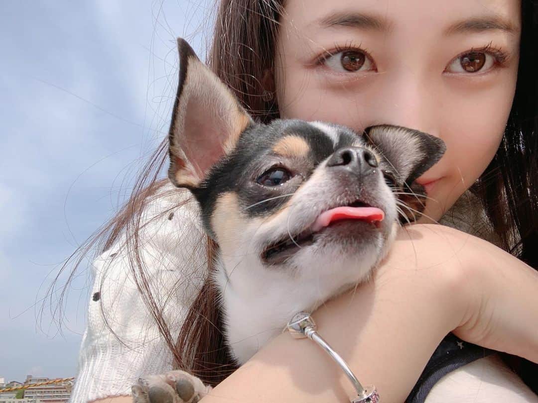 のインスタグラム：「おいぬたちとピクニック🐶 . . #カレッジコスモス#カレコス」