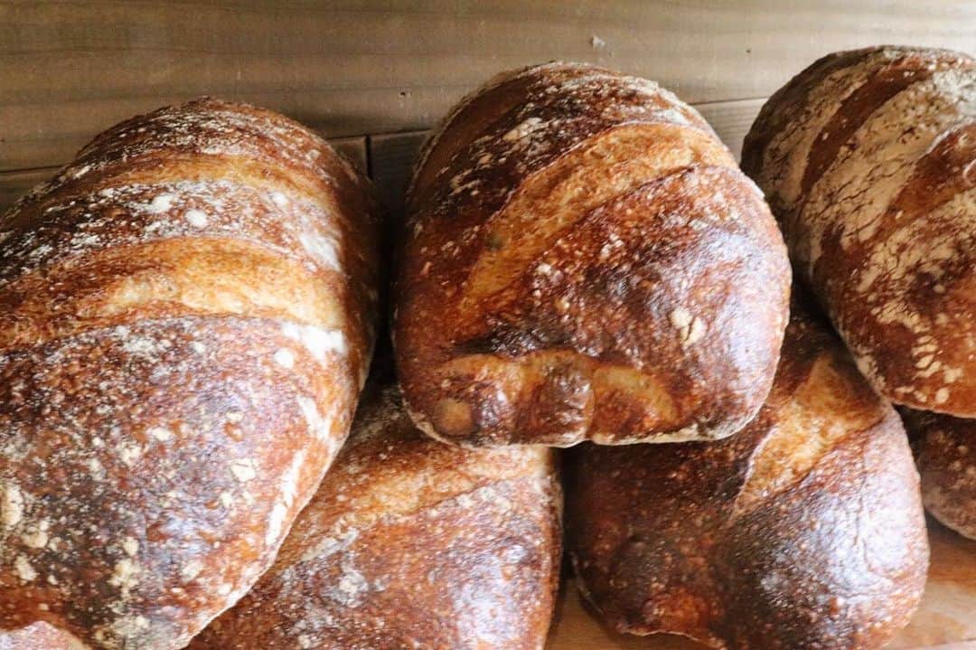 丘の上のパン屋 のグルメインスタ