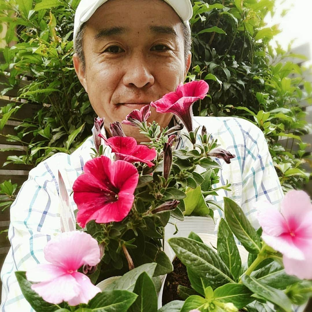 佐藤裕二さんのインスタグラム写真 - (佐藤裕二Instagram)「#夏の花 に#植え替え ました。#ニチニチソウ と#サフィニア です。 どちらも丈夫で助かりますよね。 #赤 系か黄色系かで迷いましたが#赤系 にしてみました。  #写真 は植える前 赤は#映える #ノースポール #ありがとう  #鉢植え #ガーデニング #日々草 #ホームセンター #花 #花おじさん #おじさん自撮り #自撮り #愛知#名古屋#緑区 #メーテレ #アナウンサー  #ドデスカ  #佐藤裕二」5月18日 18時12分 - karaage_satou