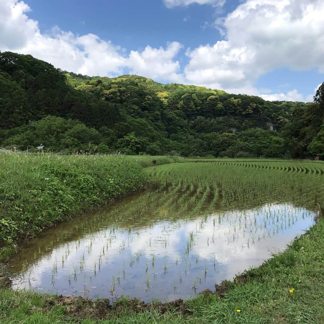 竹岡圭さんのインスタグラム写真 - (竹岡圭Instagram)「おたまじゃくし時代から、色とか大きさとかいろいろなのね😊」5月18日 18時45分 - kei_takeoka