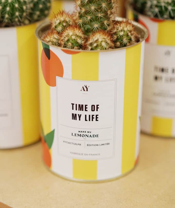 lisa gachetさんのインスタグラム写真 - (lisa gachetInstagram)「Nos petits cactus @aycactus portent eux aussi du #makemylemonade ! Ils sont disponibles à la boutique 🍋🍊 Pour faire des cadeaux ou pour mettre  du fun chez soi, ils sont là !  #timeofmylife🍋 #colortherapy #makelifehappen」5月18日 19時00分 - makemylemonade