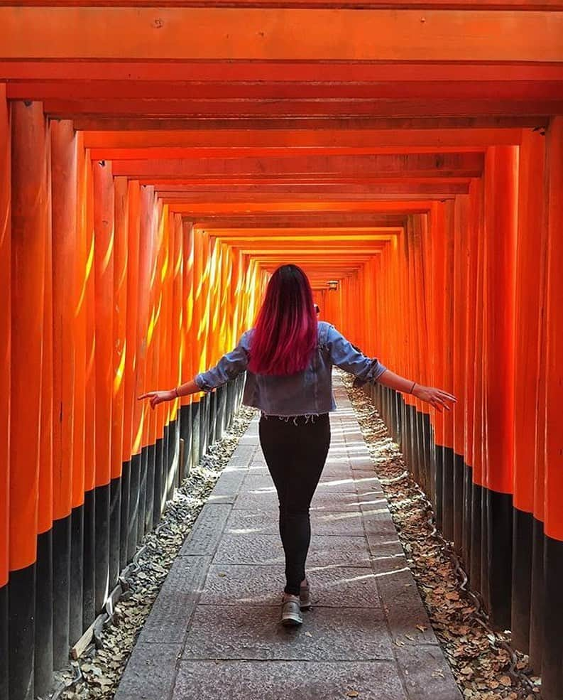 Stayway女子さんのインスタグラム写真 - (Stayway女子Instagram)「Location 京都⛩伏見稲荷大社﻿ ﻿ Photo by @carriemeowtravels ——————————————————﻿ 千本鳥居でよく知られている﻿ 京都、伏見稲荷大社❗️﻿ 1300年以上もの歴史を持ち﻿ 絶え間なく、国内外の観光客を﻿ 魅了しています😚✨﻿ ——————————————————﻿ 素敵な女子旅をされている方をご紹介させていただきます！✨﻿ 写真は全てご本人に【掲載許諾】を頂いています﻿ #Stayway女子旅 というハッシュタグをつけて是非投稿してください♪﻿ Instagram・Twitter・Stayway mediaにてご紹介させていただきます！﻿ ———————————————————﻿ 【Staywayとは？】﻿ Staywayはホテルやゲストハウスなどの宿泊施設はもちろん、世界中のコテージ・ヴィラ・一軒まるごとレンタルに古民家なども検索できるサイト﻿ 価格・ロケーションなど幅広いニーズに答え、利用者にあった宿泊先を素早く見つけることが可能👍✨﻿ 素敵な旅には素敵な宿泊施設を🌃﻿ Staywayで探してみませんか？✈️﻿ ———————————————————﻿ #Stayway女子旅 #Stayway_kyoto #kyoto #fushimiinaritaisha #京都 #伏見稲荷大社  #travel #trip #instatravel #旅 #旅行 #travelgram#mytravelgram #instatravel #instagenic#photogenic #ダレカニミセタイケシキ #写真好きな人と繋がりたい #カメラ好きな人と繋がりたい #フォトジェニック」5月18日 19時12分 - stayway_girls