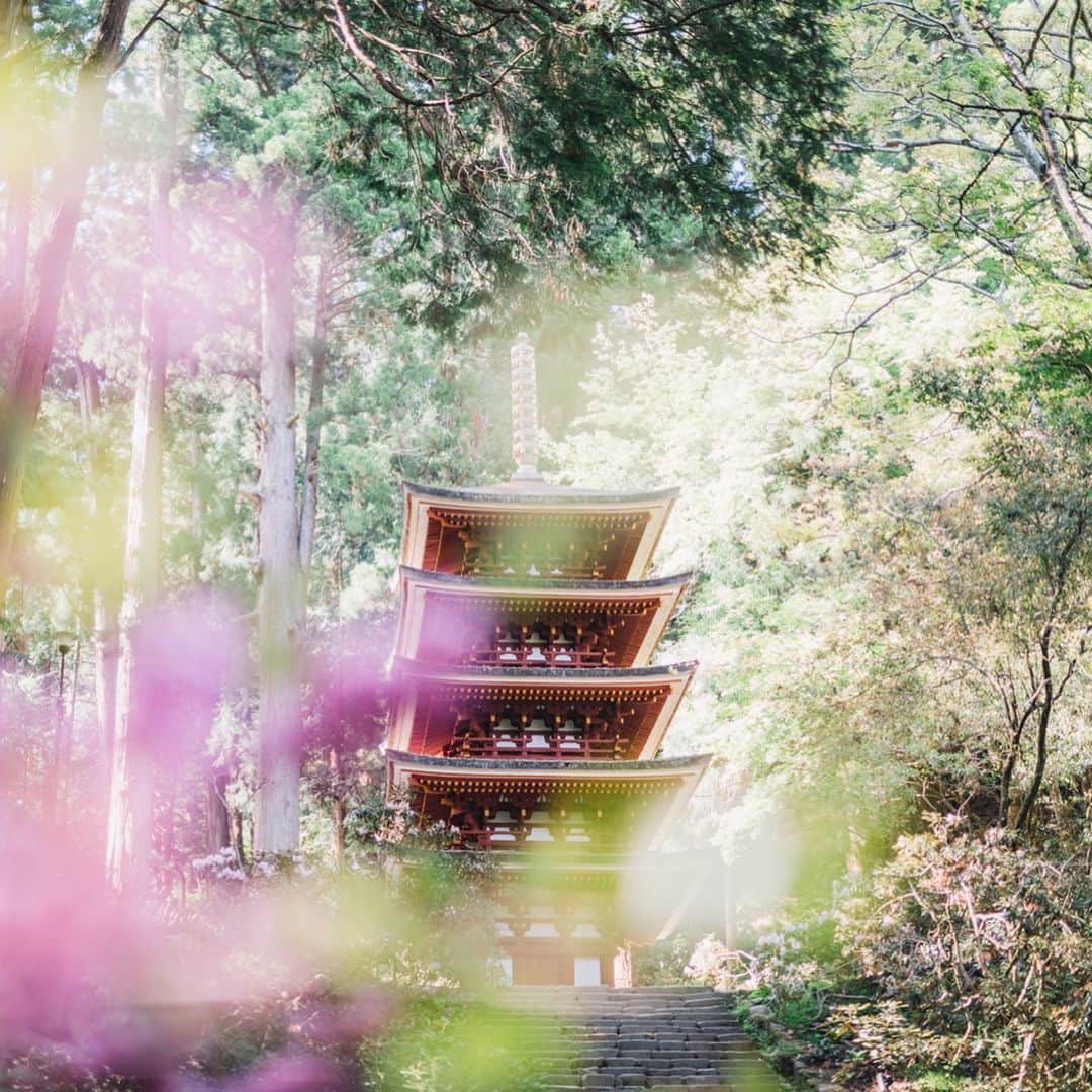 fuka_09さんのインスタグラム写真 - (fuka_09Instagram)「﻿ #室生寺﻿ ﻿ ﻿ 室生寺の五重塔は日本で﻿ 一番小さいみたい ◡̈﻿ ﻿ それでも近くでみると圧巻﻿ そしてここも新緑が最高﻿ ﻿ ﻿ #奈良 #わたしは奈良派﻿ ﻿ ﻿」5月18日 19時10分 - fuka_09