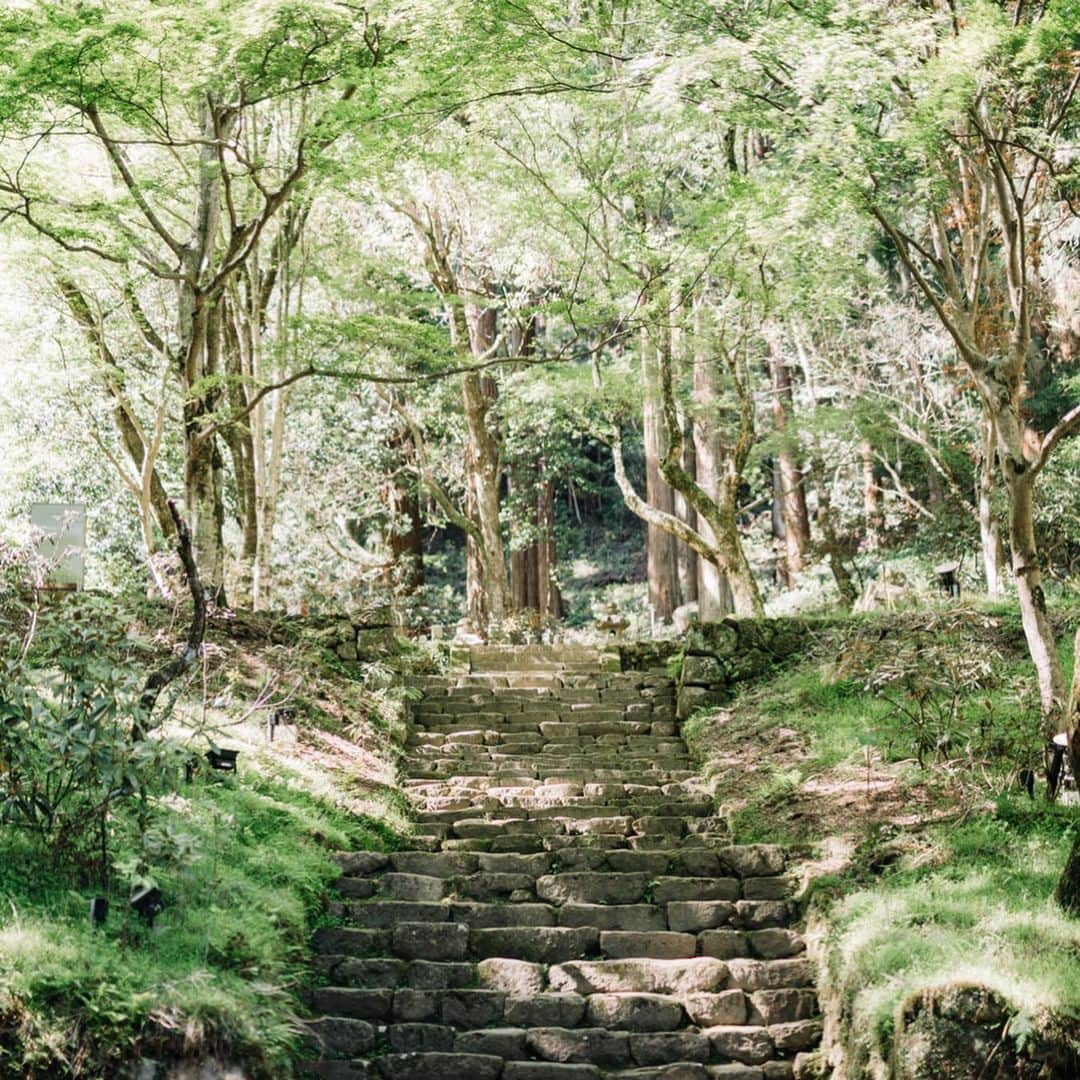 fuka_09さんのインスタグラム写真 - (fuka_09Instagram)「﻿ #室生寺﻿ ﻿ ﻿ 室生寺の五重塔は日本で﻿ 一番小さいみたい ◡̈﻿ ﻿ それでも近くでみると圧巻﻿ そしてここも新緑が最高﻿ ﻿ ﻿ #奈良 #わたしは奈良派﻿ ﻿ ﻿」5月18日 19時10分 - fuka_09