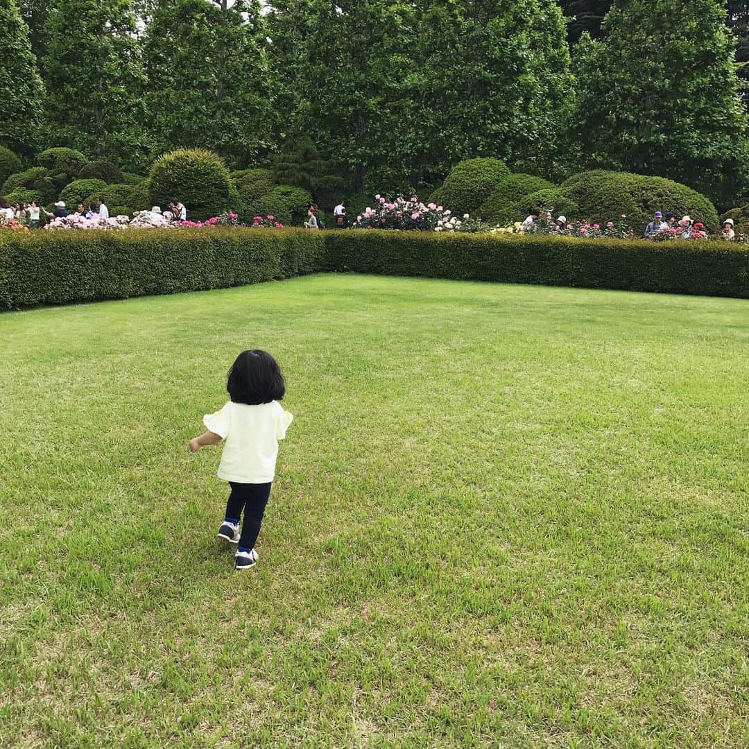 門脇舞以さんのインスタグラム写真 - (門脇舞以Instagram)「👒外遊び2days🌹 #2歳3ヶ月」5月19日 0時44分 - kadomaita