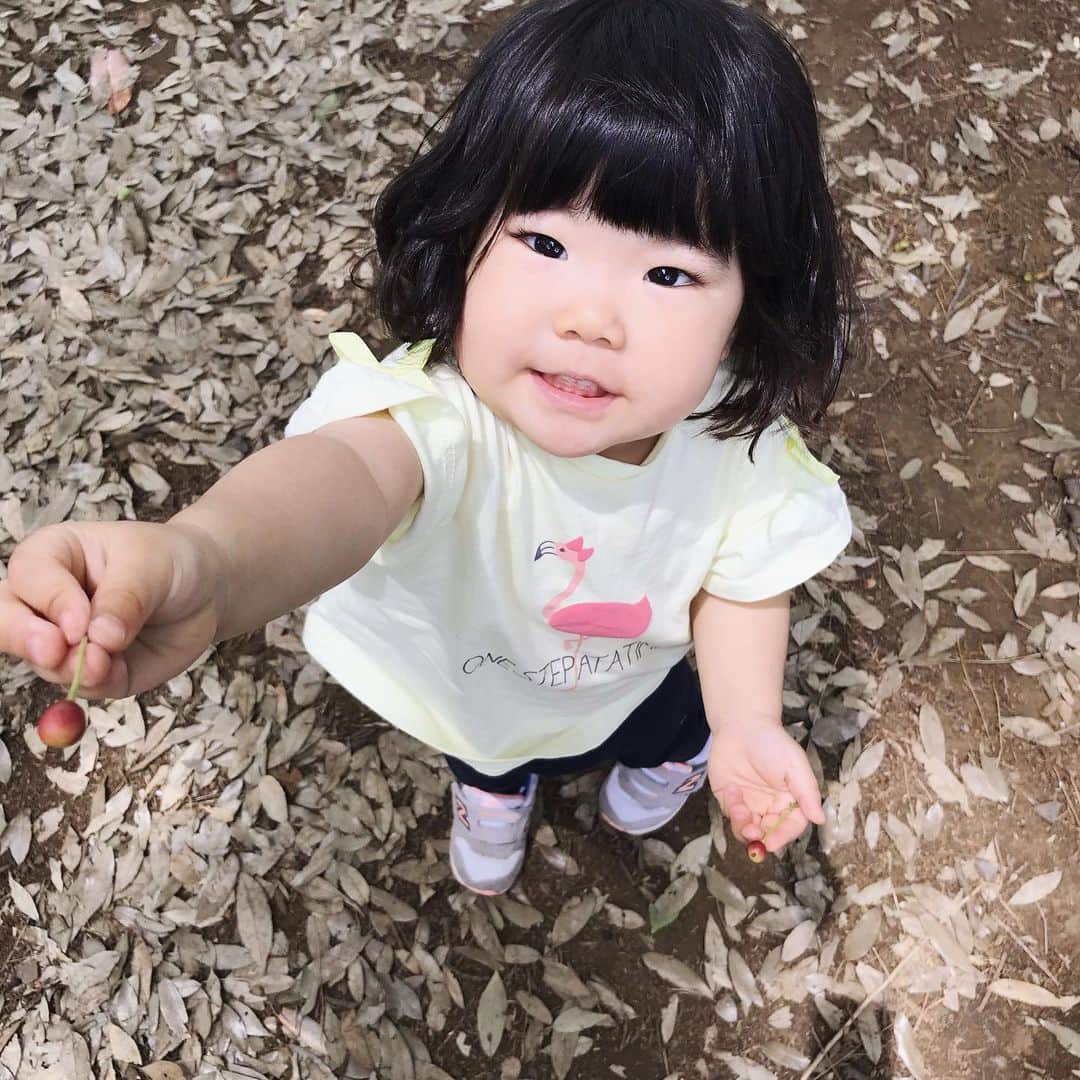 門脇舞以さんのインスタグラム写真 - (門脇舞以Instagram)「👒外遊び2days🌹 #2歳3ヶ月」5月19日 0時44分 - kadomaita