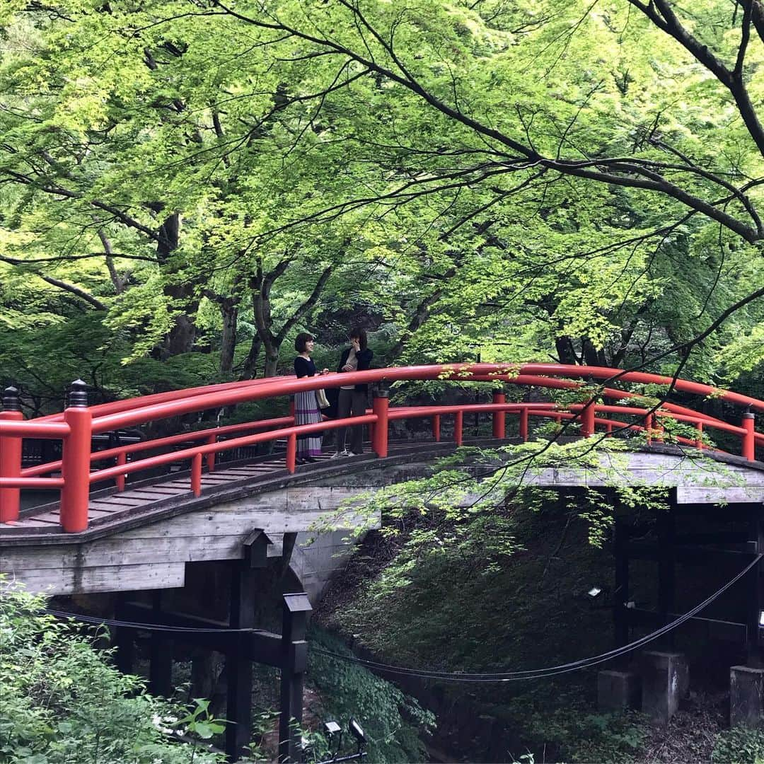 新田朝子さんのインスタグラム写真 - (新田朝子Instagram)「まったりとした時間が流れる自然と温泉が好き。どちらも味わえたいい旅でした😌✨ . #週末 #日帰り旅行 #休日 #温泉同好会 #最高の癒し #群馬県 #渋川 #伊香保温泉 #露天風呂 #黄金の湯 #白銀の湯 #伊香保温泉石段街 #365段登りきりました #途中の森林でもリフレッシュ #水沢うどん #日本三大うどん #都内より少し涼しい温泉街であったまりました #温泉好き #日本人で良かった #大満喫 #旅行好き #旅行好きな人と繋がりたい  #onsen #ikaho #japan #trip #travel #withmyfriends #holiday #♨️」5月18日 19時19分 - asako.nitta