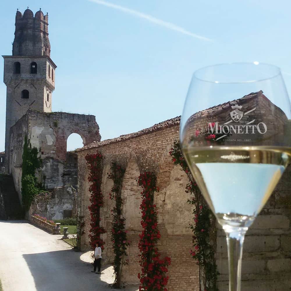 Mionetto Proseccoさんのインスタグラム写真 - (Mionetto ProseccoInstagram)「On Sunday 19th May, from 11 AM to 7.30 PM, San Salvatore Castle in Susegana (TV) hosts the 22nd edition of “Vino in Villa”. Come to taste a sparkling selection from our Collections. #vinoinvilla2019 #mionettoprosecco」5月18日 19時25分 - mionetto_prosecco