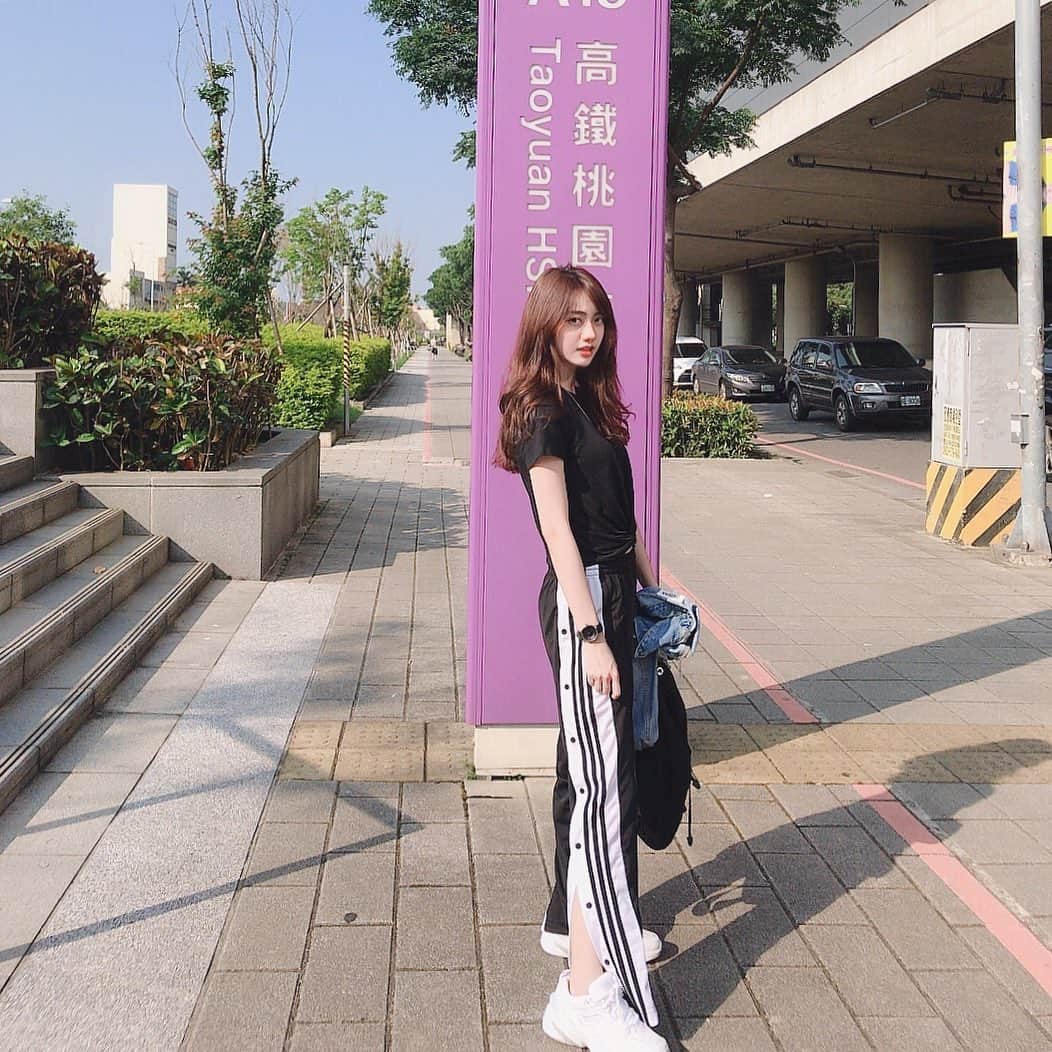 羅晴のインスタグラム：「出門溜達溜達🌞🐾」