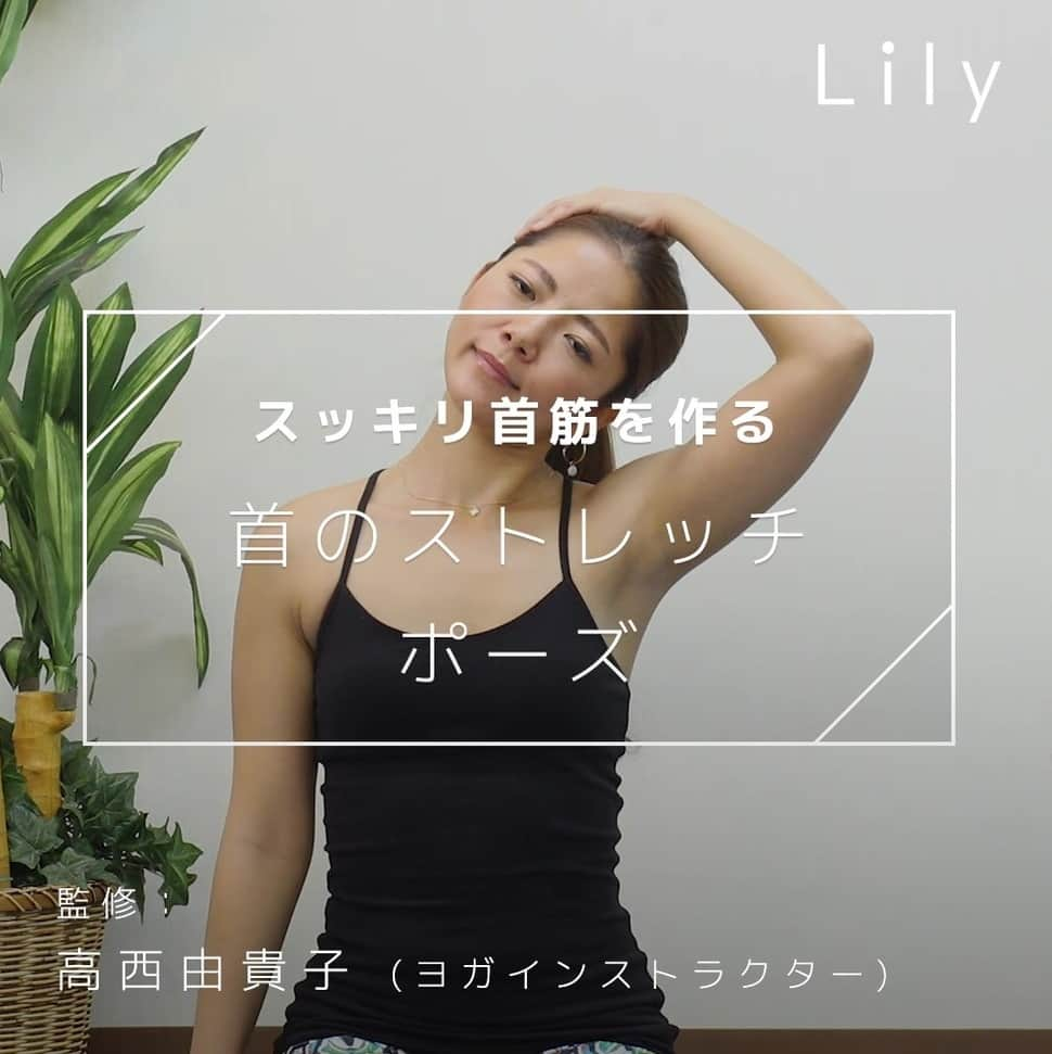 Lilyのインスタグラム