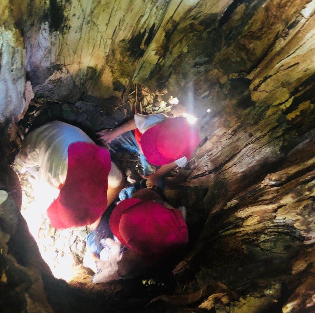 龍円愛梨さんのインスタグラム写真 - (龍円愛梨Instagram)「保育所の親子ピックニック。大人は絶対に入れない木の中に、３人で入って遊んでました。上方の穴からカメラで撮影したら、こんな洞窟みたいになってました。こどもにとってはステキな経験だろうな。」5月18日 21時28分 - airi_ryuen