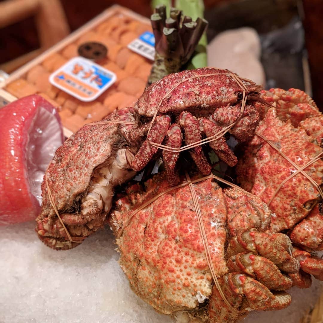 Masayasu Moritaのグルメインスタ