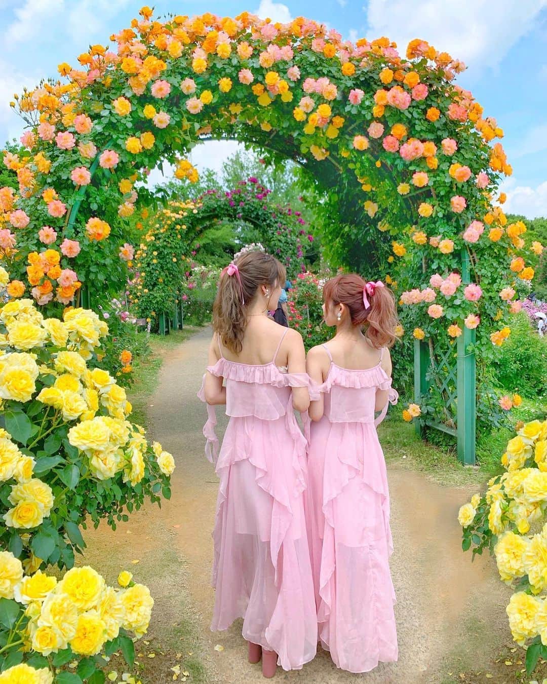 小沼瑞季さんのインスタグラム写真 - (小沼瑞季Instagram)「🌹💖🌹💖﻿ ﻿ 今日は去年に引き続き京成バラ園へ行ってきたよ🌹✨﻿ ﻿ 見事に満開でどこもかしこも美しくて﻿ バラの香りで包まれて最高だった😌💕﻿ ﻿ やっぱりここのアーチが素敵すぎる。﻿ ﻿ ﻿ #rosegarden#flowergarden#honeymihoney#京成バラ園#バラ園#バラ#薔薇#お花畑#千葉#ハニーミーハニー#花のある暮らし#花のある生活#おそろコーデ#シミラールック#お揃いコーデ#双子コーデ#おそろいコーデ#ローズガーデン#みいきコーデ#みいきとらべる✈️」5月18日 22時01分 - mizukikonuma