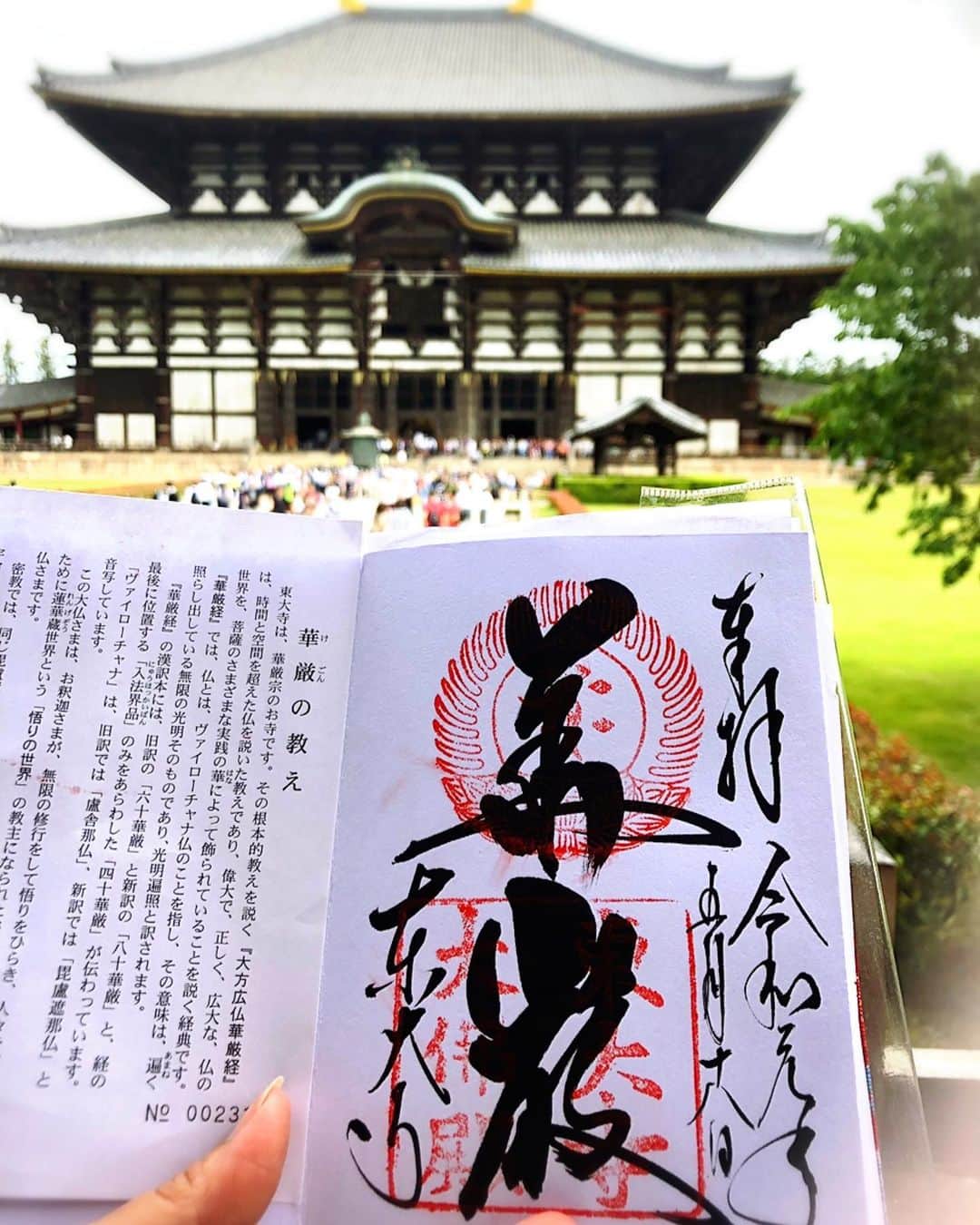 永倉由季さんのインスタグラム写真 - (永倉由季Instagram)「・ ・ 今日から奈良で開幕した 「ムジークフェストなら2019」 オープニングセレモニーの司会をさせて頂く。 ・ ・ 場所は生まれ育った地元 奈良。 東大寺大仏殿。 ・ ・ 奉納演奏は 「改元を祝ぐ いのちの歴史を紡いで」  あまりの美しさに心が洗われる。 ・ ・ 752年の大仏開眼法会から ずっと見守って下さっている大仏様。 ・ ・ ますます奈良愛が深まるばかり。 ・ 「ムジークフェストなら2019」は 6月9日までの23日間 ・ 神社仏閣をはじめ 奈良の街中が音楽で溢れます。 観光と合わせてお楽しみ下さい✨ ・ ・ ・ ✅ ムジークフェストなら2019 スケジュール ↓ ・ ・ http://www.naraken.com/musik/ ・ ・ ✅ 詳しくはアメブロにて↓ ・ ・ http://ameblo.jp/naga-yuki/ ・ ・ #奈良県  #東大寺 #東大寺大仏殿 #大仏様 #美しい #ムジークフェスト #ムジークフェストなら  #2019  #オープニングセレモニー #読経 #神社仏閣 #御朱印  #音楽の祭典 #司会 #奉納演奏 #心が洗われる #生まれて初めて #大仏様 と #記念撮影 #平穏 #感謝 #仕事 #記録用」5月18日 22時33分 - yuki_nagakura67