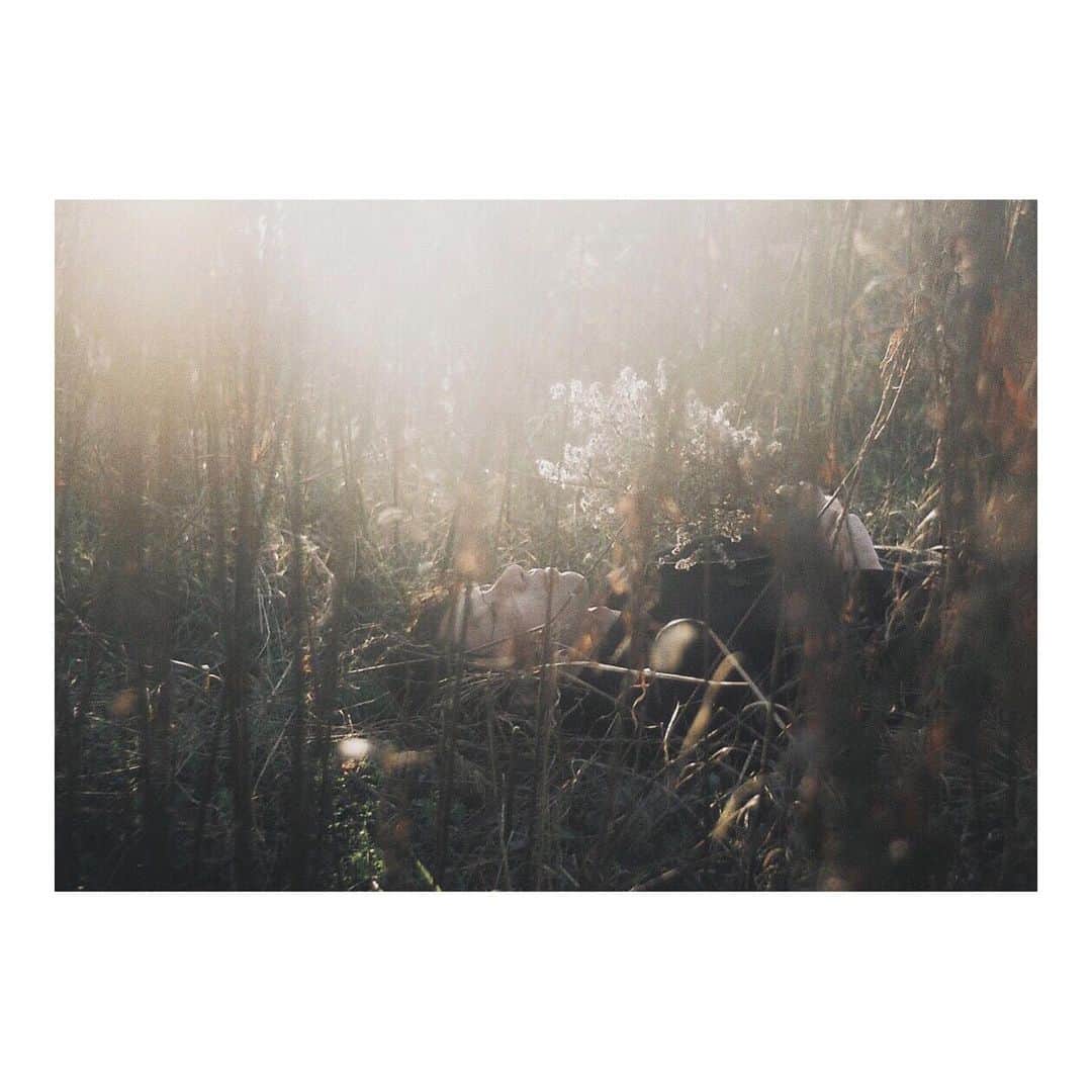 bambiflexのインスタグラム：「#film #filmisnotdead #film_com #igersjp #igersjapan #instagramjapan #instagood #instalike #ig_japan #vscocam #vscofilm #japan #フィルム」