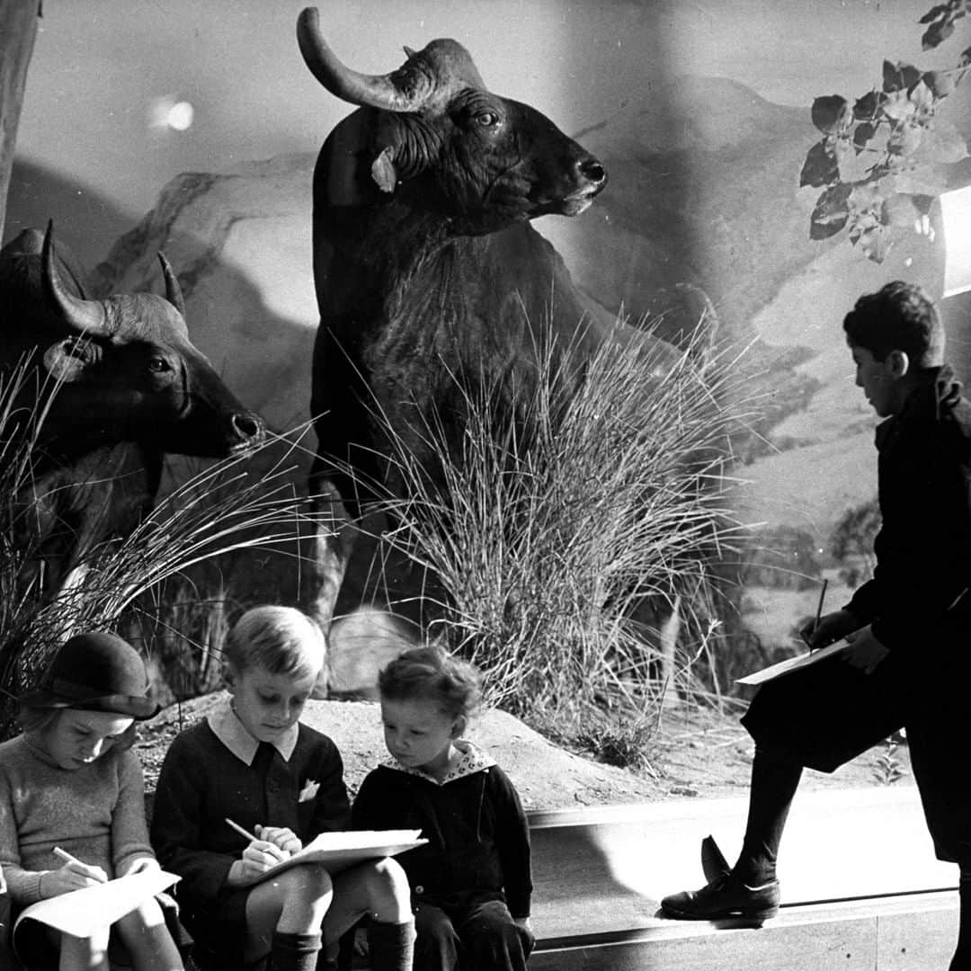 lifeさんのインスタグラム写真 - (lifeInstagram)「LIFE is celebrating INTERNATIONAL MUSEUM DAY with this vintage shot of children at the American Museum of Natural History in New York City in 1937. (Margaret Bourke-White—The LIFE Picture Collection/Getty Images) #InternationalMuseumDay #AMNH @amnh」5月18日 22時55分 - life