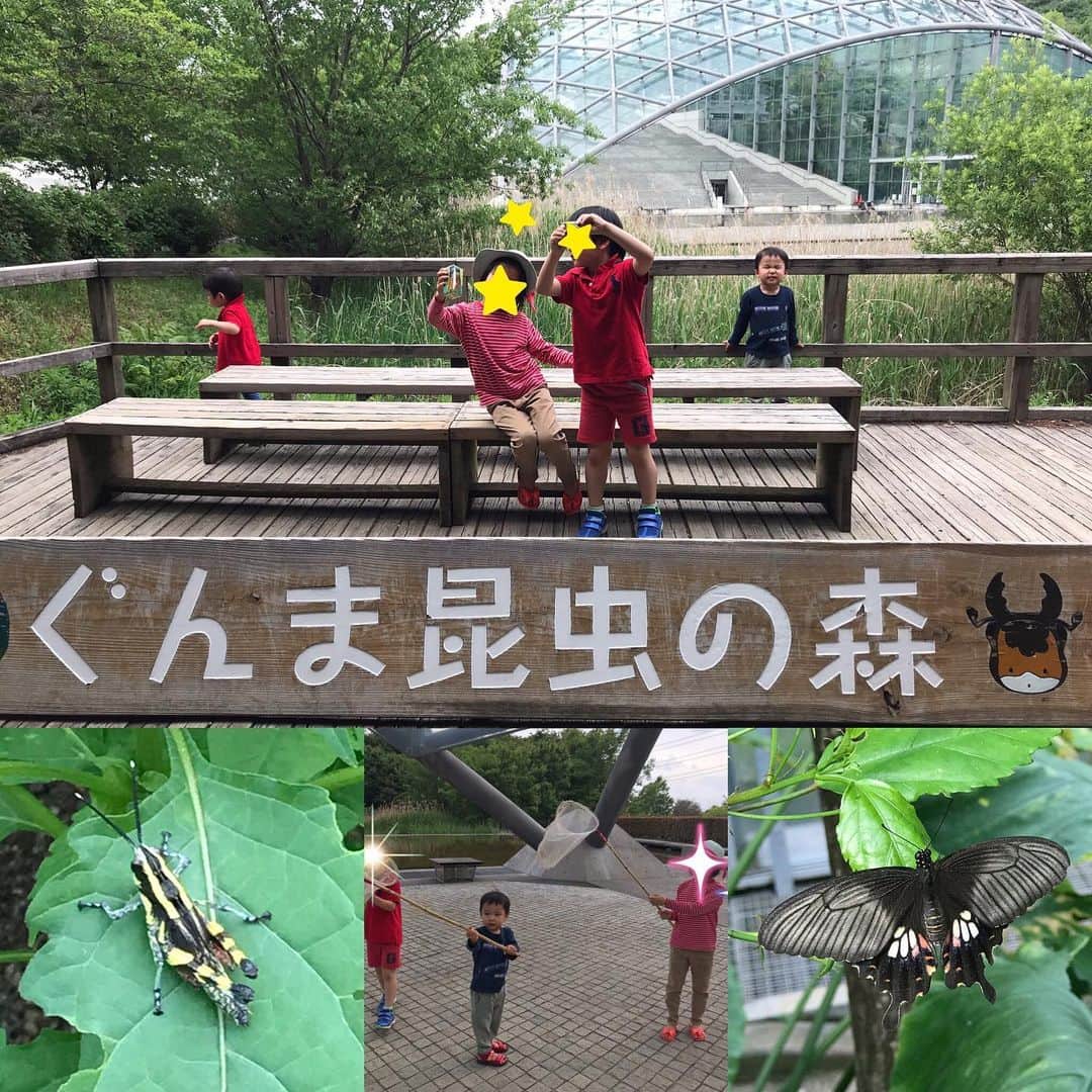 宋美玄さんのインスタグラム写真 - (宋美玄Instagram)「ぐんま昆虫の森、素晴らしかった！子どもたち大興奮🐞時間がなくて一部しか行けなかったけど、今度もっとゆっくり回りたいー。近くに住む子どもは幸せだなあ。 #ぐんま昆虫の森 #虫好き #てんとう虫好き #自然がいっぱい」5月19日 8時37分 - mihyonsongkobe