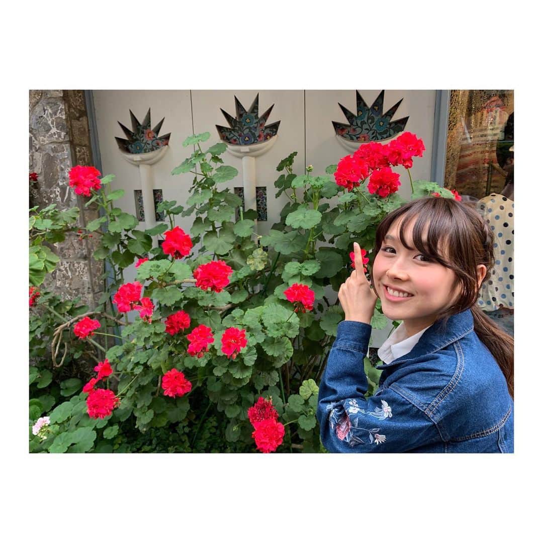 小池ジョアンナさんのインスタグラム写真 - (小池ジョアンナInstagram)「おはながいっぱいのかわいいお店で:)🌹📸 #flower #cute #likeit #shop #store #red #redflower」5月19日 9時03分 - joan711