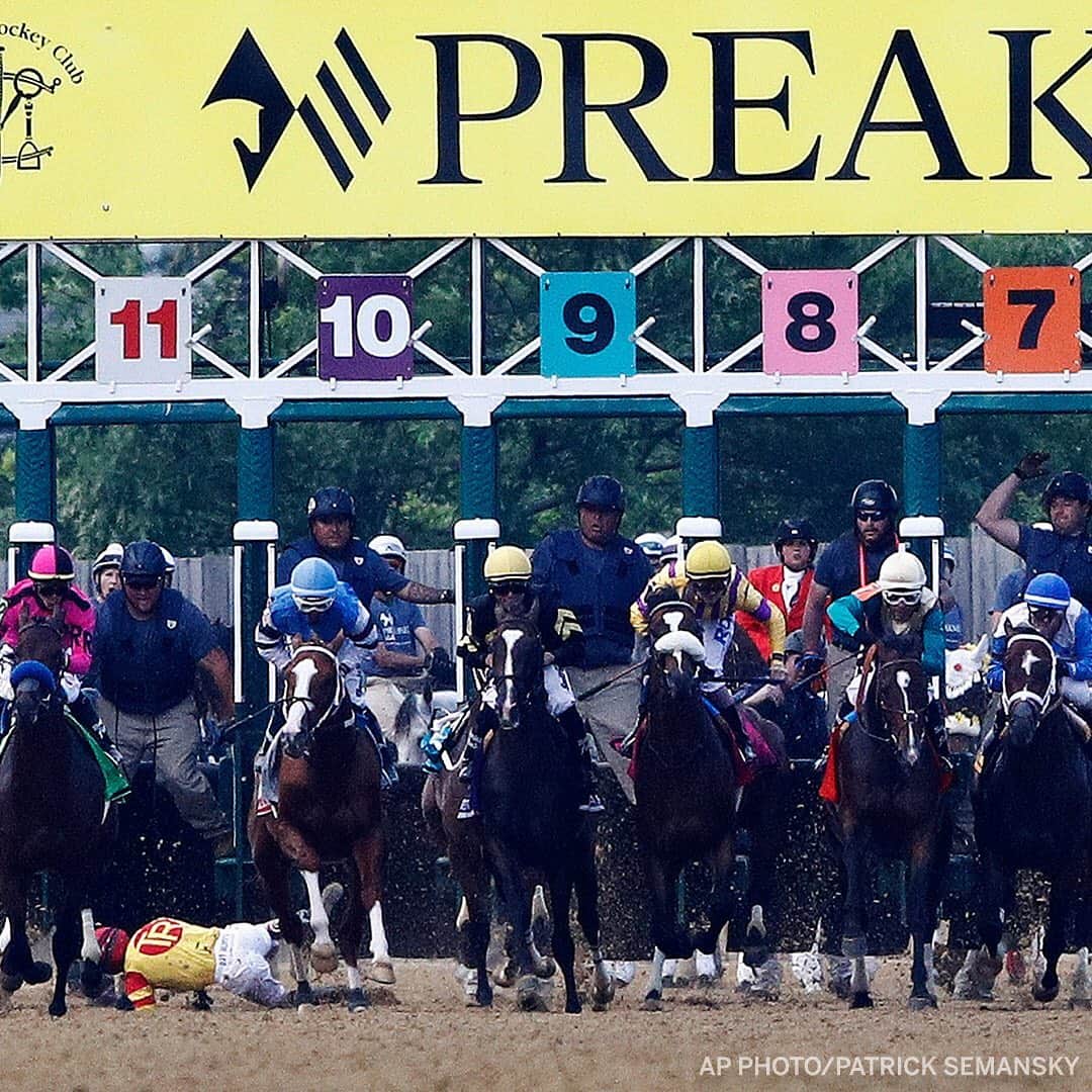 espnさんのインスタグラム写真 - (espnInstagram)「(➡️) Bodexpress lost its jockey at the start of the Preakness but continued racing ... even after the race was over 🐎」5月19日 9時28分 - espn