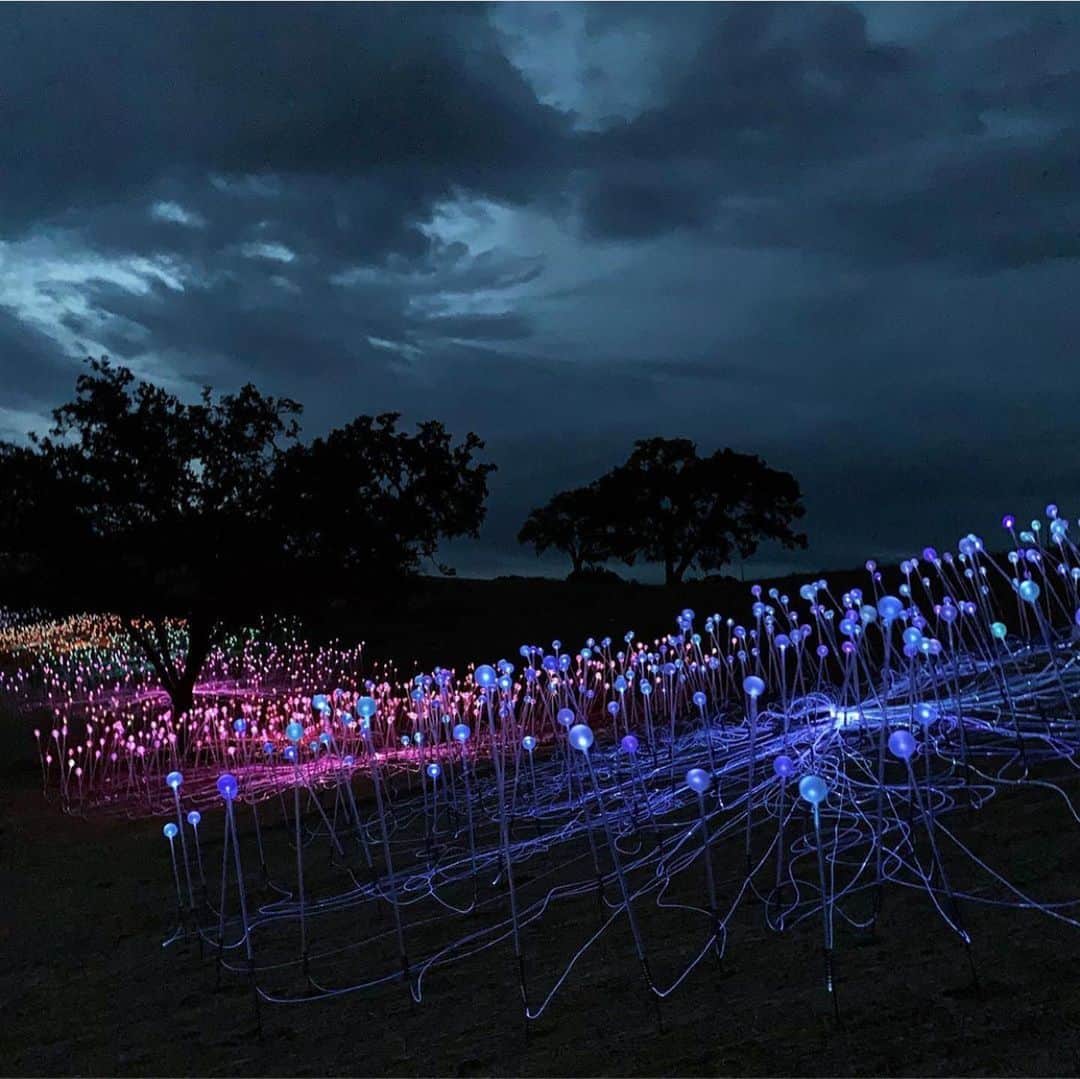 The Cool Hunterさんのインスタグラム写真 - (The Cool HunterInstagram)「Sensorio Fields of Light by British artist Bruce Munro opens tomorrow in Paso Robles, California. 15 acres of light purely from solar energy. @pasoroblesmagazine #thecoolhunter #swipeleft #solarpower #artinstallation」5月19日 9時22分 - thecoolhunter_