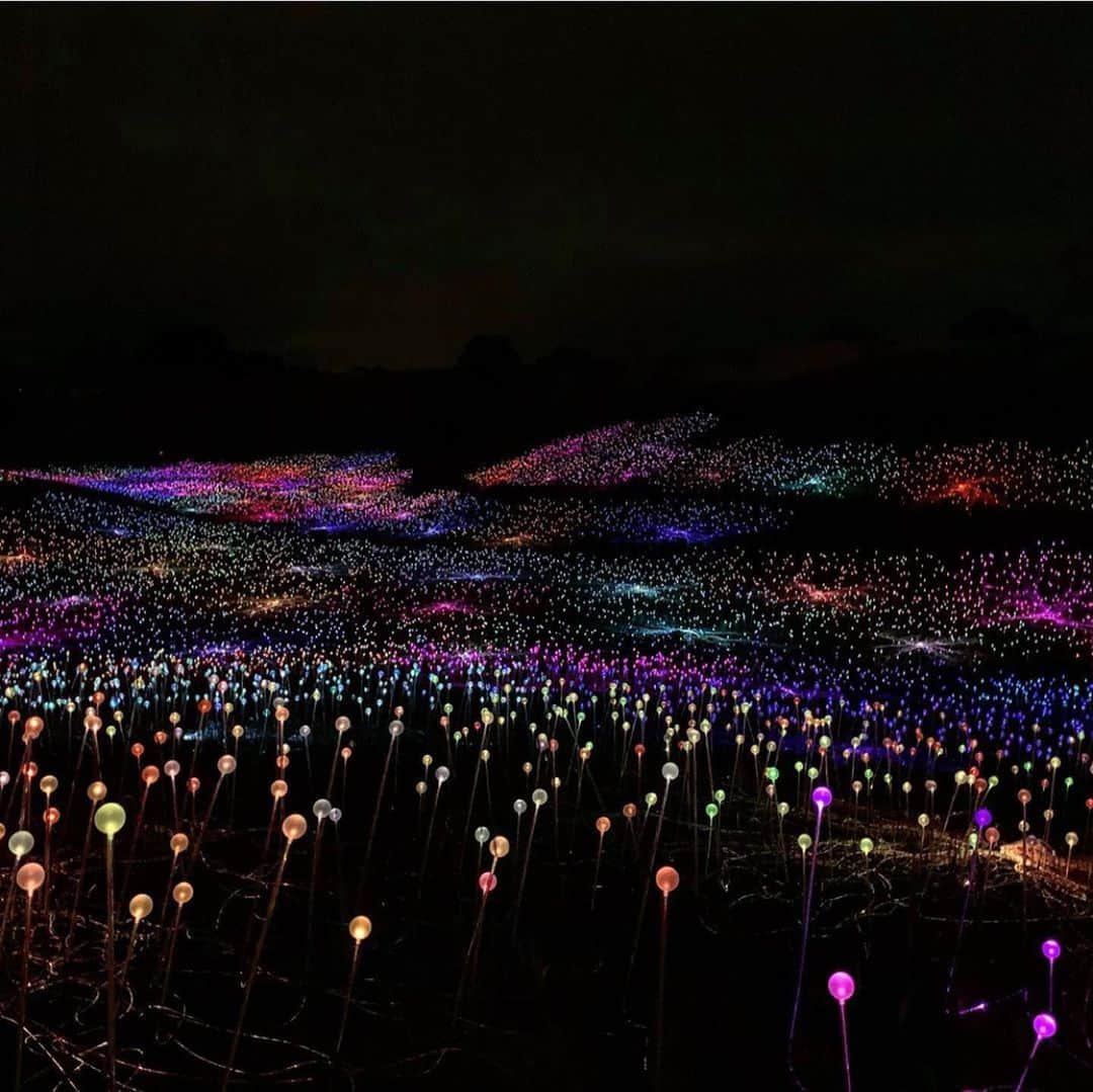 The Cool Hunterさんのインスタグラム写真 - (The Cool HunterInstagram)「Sensorio Fields of Light by British artist Bruce Munro opens tomorrow in Paso Robles, California. 15 acres of light purely from solar energy. @pasoroblesmagazine #thecoolhunter #swipeleft #solarpower #artinstallation」5月19日 9時22分 - thecoolhunter_