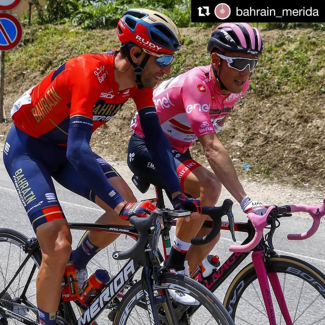 ヴィンチェンツォ・ニバリさんのインスタグラム写真 - (ヴィンチェンツォ・ニバリInstagram)「🦈 @vincenzonibali @valerio.conti_ 🇮🇹 @giroditalia  #Giro #Giro102 #magliarosa #procycling #WorldTour #BAHRAINMERIDA🇧🇭」5月19日 1時16分 - vincenzonibali