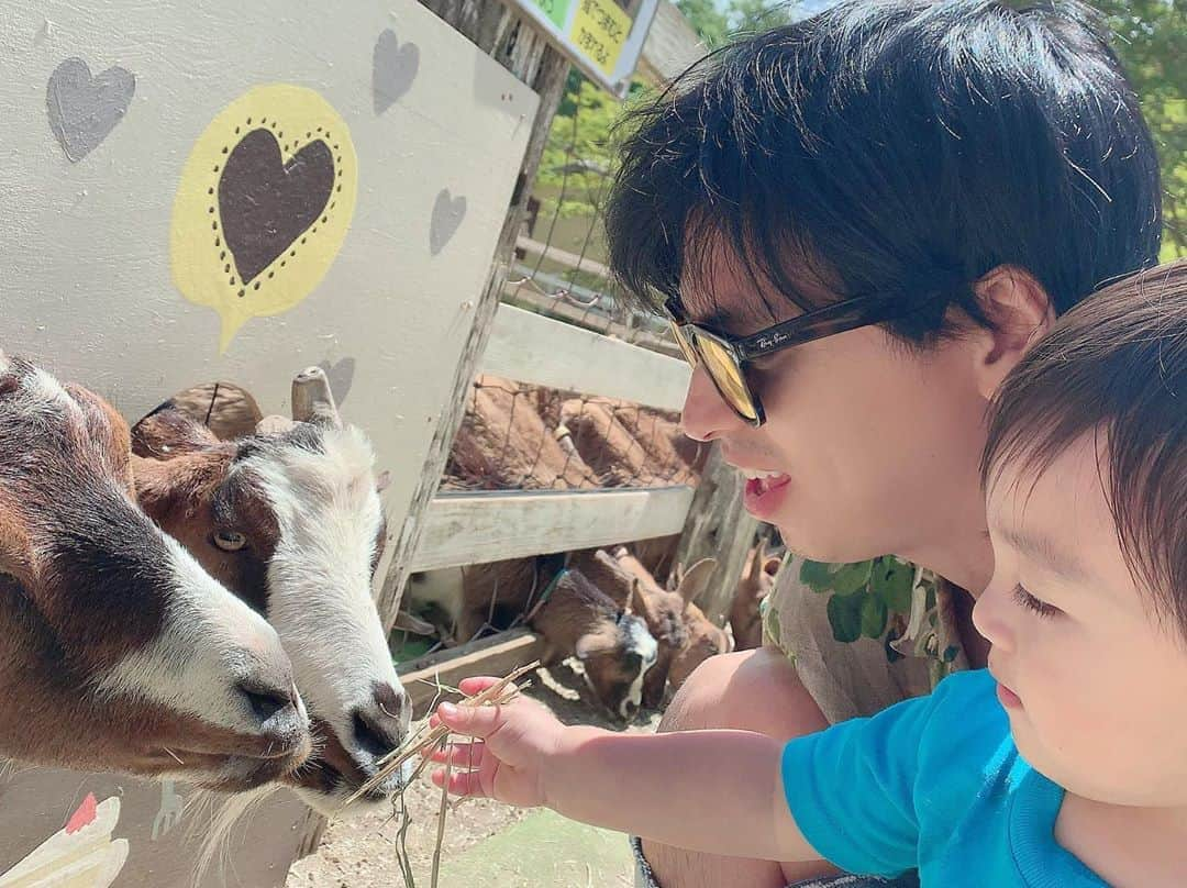 川崎希さんのインスタグラム写真 - (川崎希Instagram)「牧場日和🐮💓💓💓 #牧場 #やっぱりソフトクリームが最高に美味しい〜 #おちびーぬはヤギにごはんあげてたよ #ヤギたち赤ちゃんに優しい」5月19日 1時34分 - kawasakinozomi