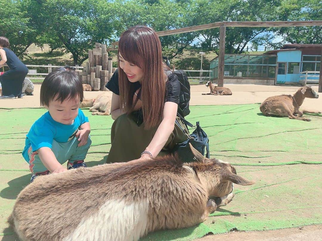 川崎希さんのインスタグラム写真 - (川崎希Instagram)「牧場日和🐮💓💓💓 #牧場 #やっぱりソフトクリームが最高に美味しい〜 #おちびーぬはヤギにごはんあげてたよ #ヤギたち赤ちゃんに優しい」5月19日 1時34分 - kawasakinozomi