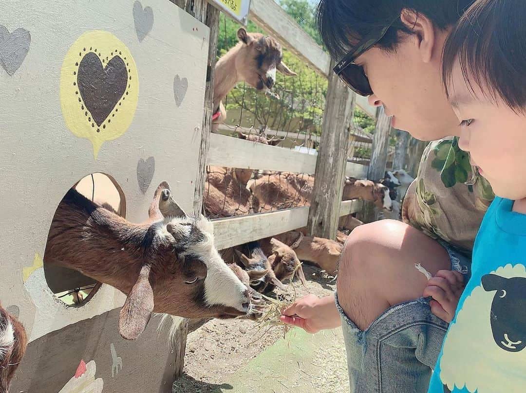 川崎希さんのインスタグラム写真 - (川崎希Instagram)「牧場日和🐮💓💓💓 #牧場 #やっぱりソフトクリームが最高に美味しい〜 #おちびーぬはヤギにごはんあげてたよ #ヤギたち赤ちゃんに優しい」5月19日 1時34分 - kawasakinozomi