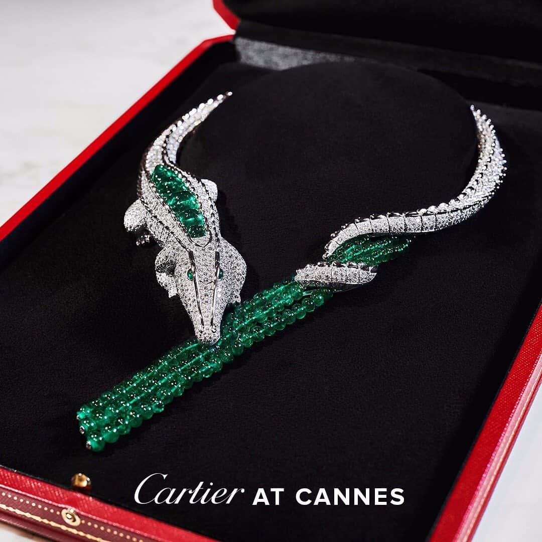 のインスタグラム：「Born from 6 sugarloaf emeralds totaling 21.00 carats and from the hands of the same sculptor of the iconic crocodile necklace commissioned by actress María Félix in 1975. Debuting exclusively at the Cannes Film Festival red carpet tomorrow. #CartierHighJewelry #CartierMagnitude #cannes2019」