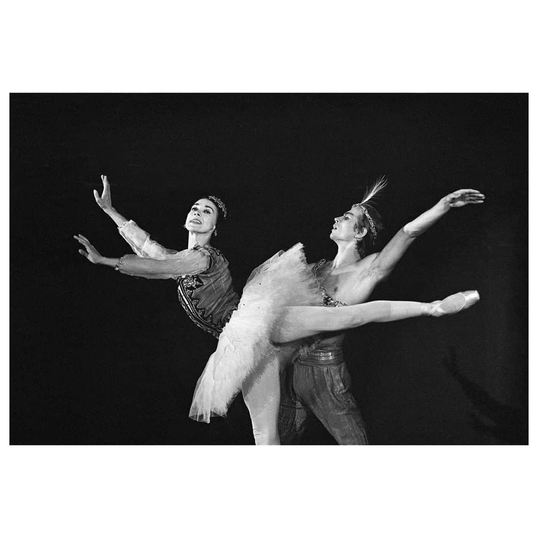 Magnum Photosさんのインスタグラム写真 - (Magnum PhotosInstagram)「Dancers Rudolf Nureyev and Margot Fonteyn performing Le Corsaire, at the Ein Gedi Kibboutz. 1963. . Fonteyn was born on this day 100 years ago. . © @fondationreneburri/#MagnumPhotos . #ReneBurri #MargotFonteyn #ballet」5月19日 3時00分 - magnumphotos