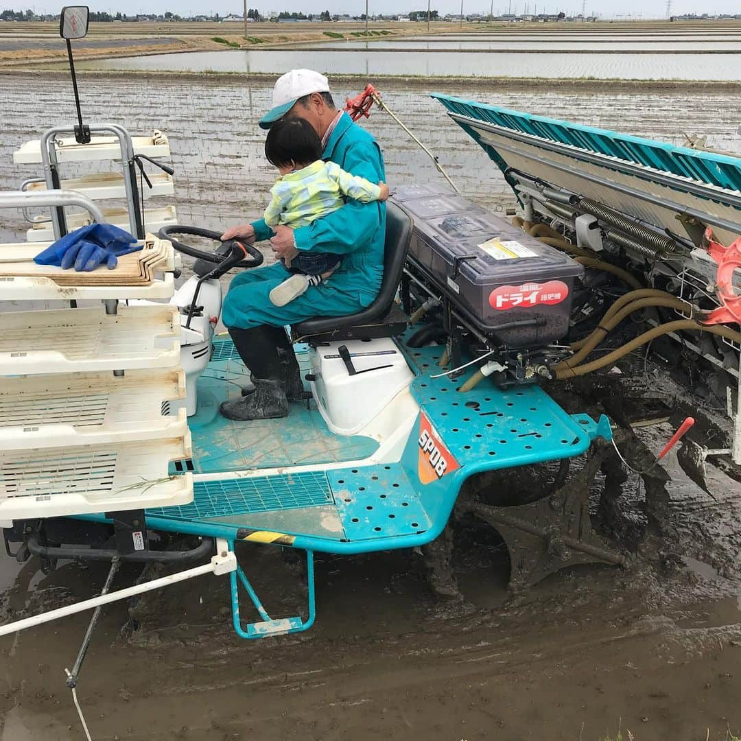 氷浦紫さんのインスタグラム写真 - (氷浦紫Instagram)「ＧＷ にじいじの田植機に乗せてもらった息子ちん。  ハンドル回したりキョロキョロ機械を見てた。  何歳くらいになったらお手伝いしてくれるかな？  #田植え #田植機#クボタ#kubota#8条植え #クボタの田植え機 #じいじと孫#1歳3ヶ月#1y3m#5月#May#新潟#niigata #ＧＷ#ゴールデンウィーク」5月19日 3時31分 - yukalihiula