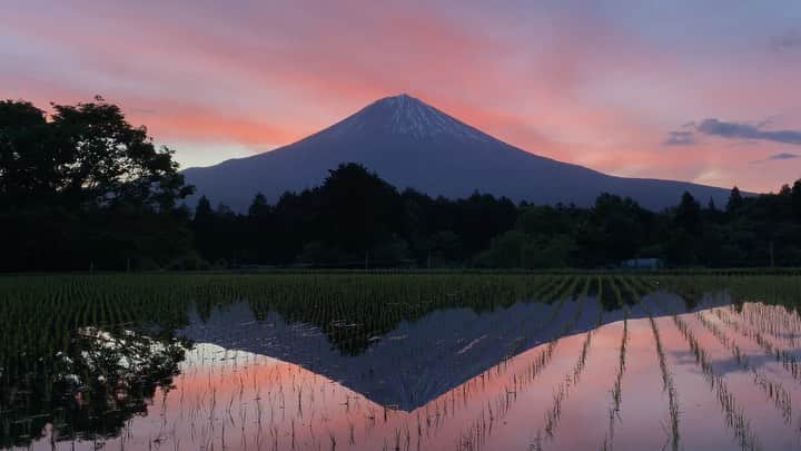 phantastic420のインスタグラム：「. 🤩🤩“Shizuoka” prefecture in Japan is a place where you can see the most “phantastic” Mt. Fuji🗻 in the world.🤩 #富士山 #mtfuji #japan #shizuoka #fujinomiya  #phantastic420photography #mostphantasticmtfuji #selamatpagi  #goodmorning  #おはようございます 😇😇😇😇😇😇😇🗻😇😇 昨日の朝焼けです😍🤩😋今朝は全くダメです🤣見えてましたが空に元気がないまま雲にのまれて行きました…🤣」