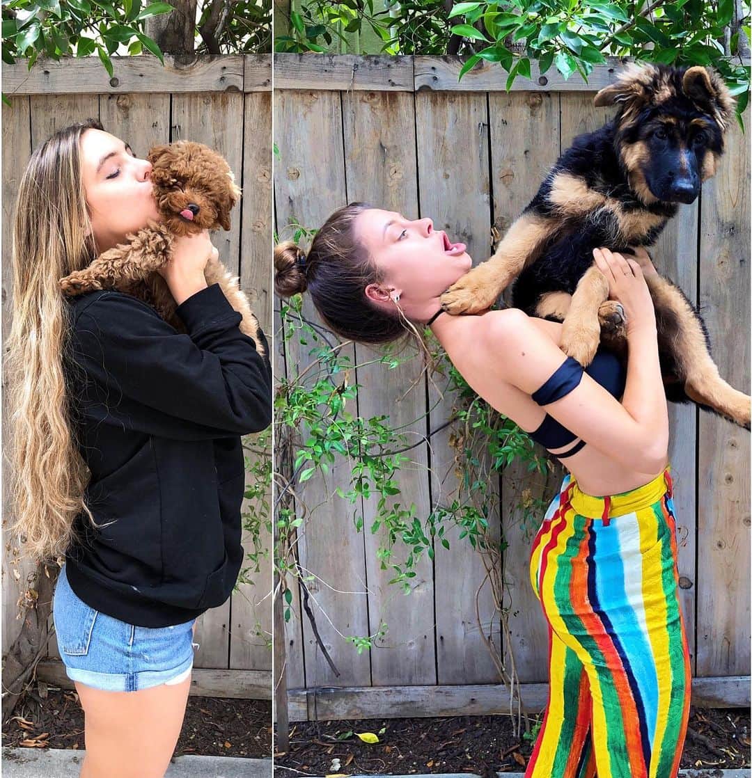 Hannah Stockingのインスタグラム：「Lele’s dog VS. My dog 🐶😂 (tag a dog lover)」