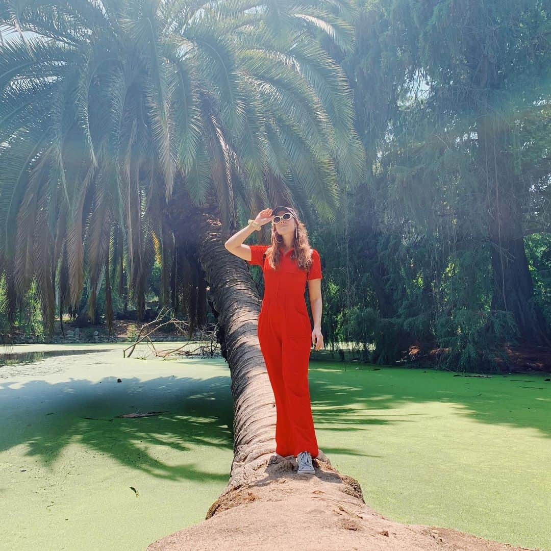 ケイト・ナッシュさんのインスタグラム写真 - (ケイト・ナッシュInstagram)「🌴🧨」5月19日 5時16分 - katenash