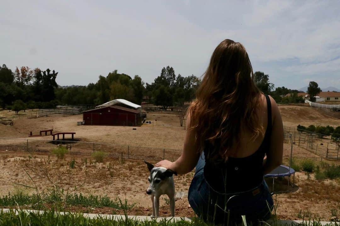 ロンダ・ラウジーさんのインスタグラム写真 - (ロンダ・ラウジーInstagram)「Everything the light touches, Roadie ☀️ 🐶🐐🐓🦆 #BrowseyAcres the sequel to the adventures of Road Dog is coming soon via @rondarouseydotcom • 👖@paige  Bodysuit @lululemon 📸 @juliadmars」5月19日 6時22分 - rondarousey