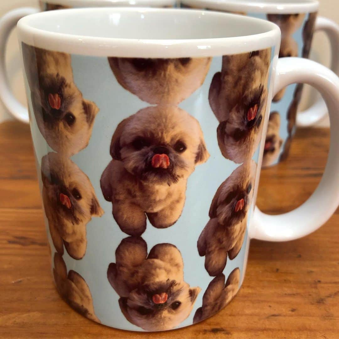 Dougie the Shih Tzuさんのインスタグラム写真 - (Dougie the Shih TzuInstagram)「New item in the store! 🐶☕️🐶☕️Go to dailydougie.com or use the link in the bio. (US only, sorry!)」5月19日 6時39分 - dailydougie