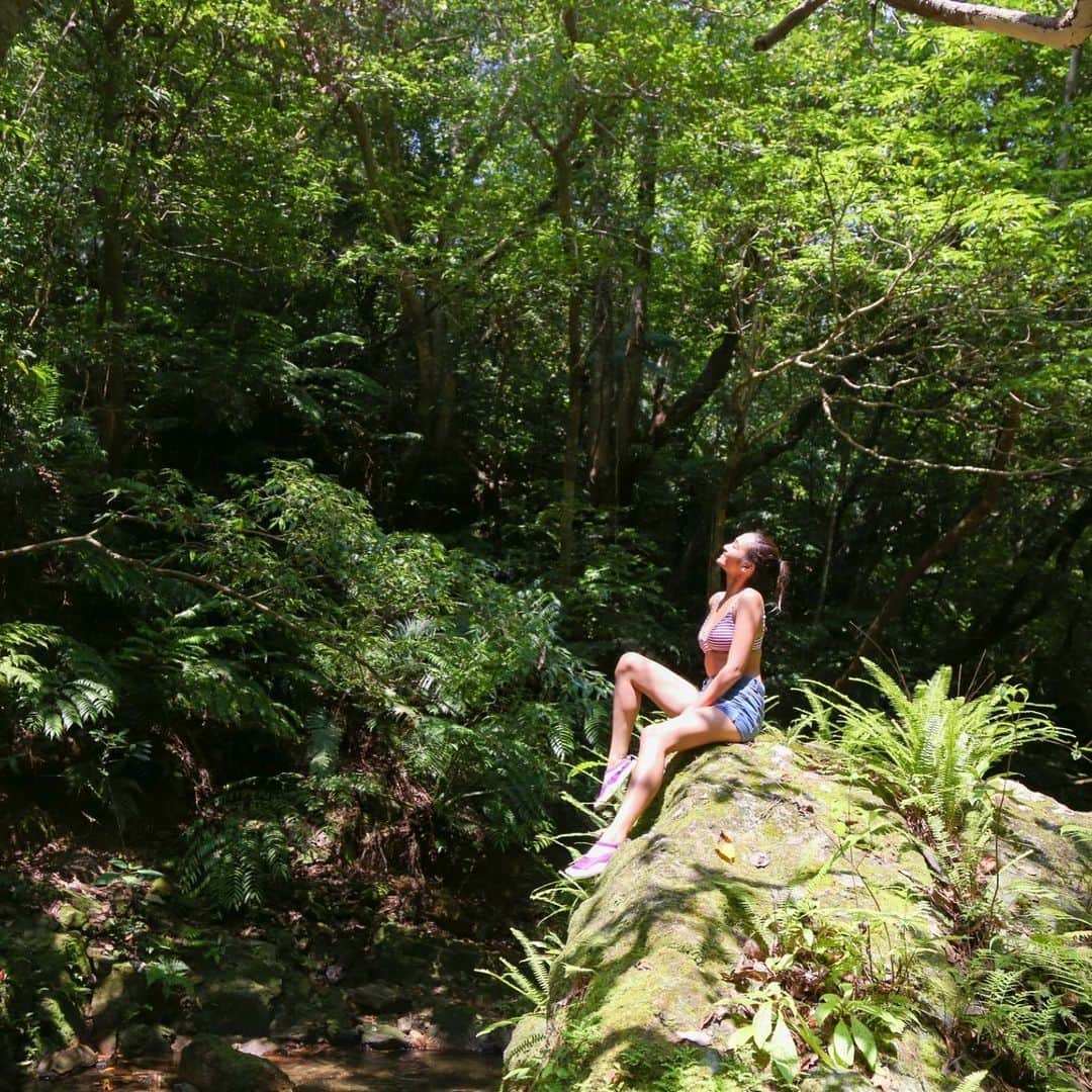 natural beauty campのインスタグラム：「⛰ みんなで行ったリバートレッキング。想像以上に大変だった… #naturalbeautycamp #ナチュラルビューティーキャンプ #green #okinawa #沖縄 #activites #photojenic #沖縄ビューティーキャンプ #rivertracking #リバートレッキング」