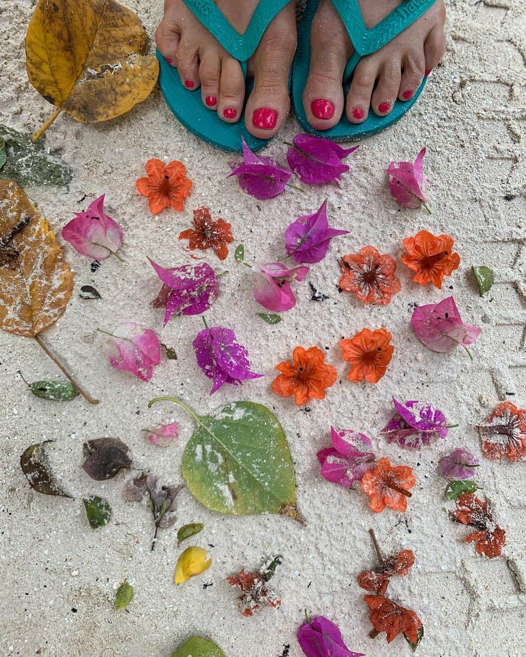 クリスティ・ブリンクリーさんのインスタグラム写真 - (クリスティ・ブリンクリーInstagram)「Breath in peace beauty and love with every step 🌺🌸🌼 #luckyhousepc  PS I’m talking to my toes as they look completely exhausted from Broadway!」5月19日 7時31分 - christiebrinkley