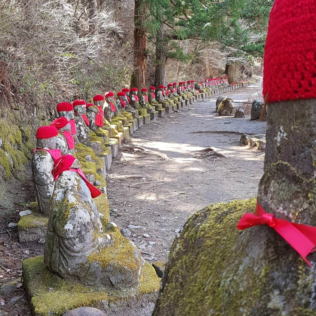 シャルレーヌ・ギニャールさんのインスタグラム写真 - (シャルレーヌ・ギニャールInstagram)「A beautiful day in Nikko 🏞📸 #nikko #vacation #memories #japan #love #shinkyobridge #rinnojitemple #toshogushrine #kamangafuchiabyss #kegonfalls #chuzenjilake」5月19日 17時44分 - charleneguignard