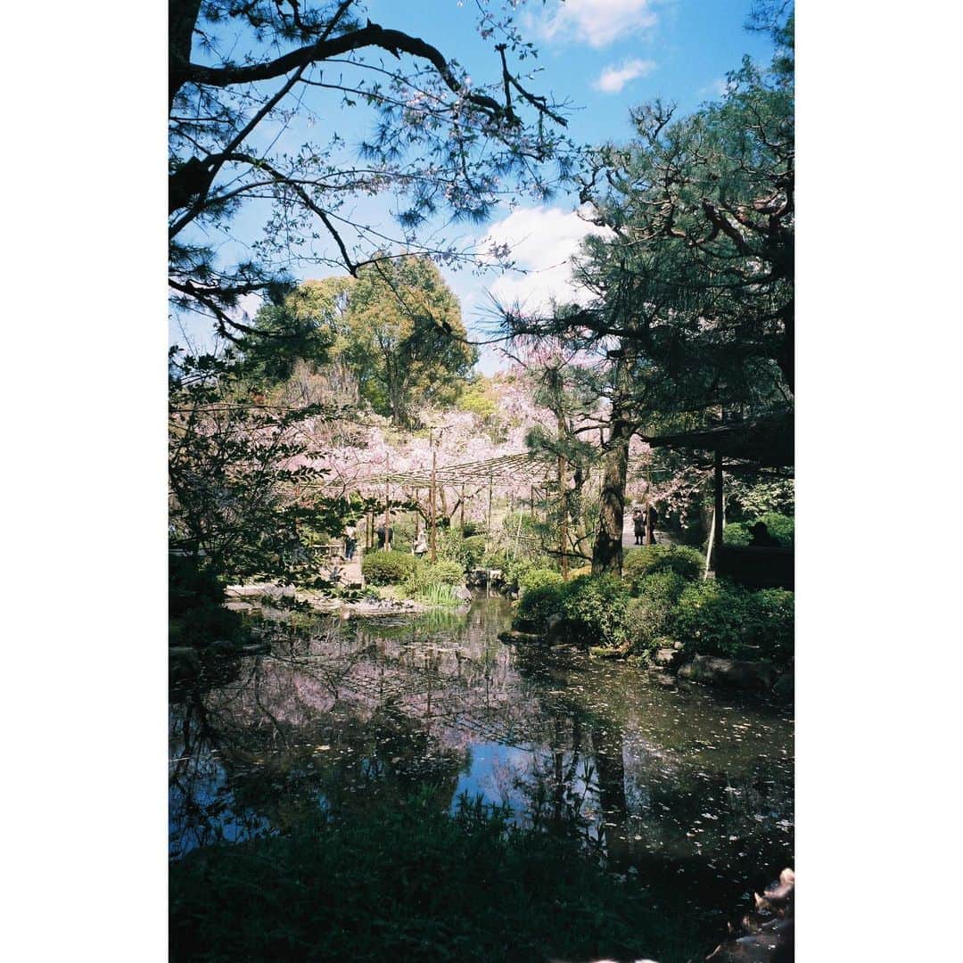 芳根京子さんのインスタグラム写真 - (芳根京子Instagram)「あぁ、現像が間に合わなくて とんでもない時差が 生まれるよ〜〜 #film #カメラ旅したい」5月19日 17時52分 - yoshinekyoko