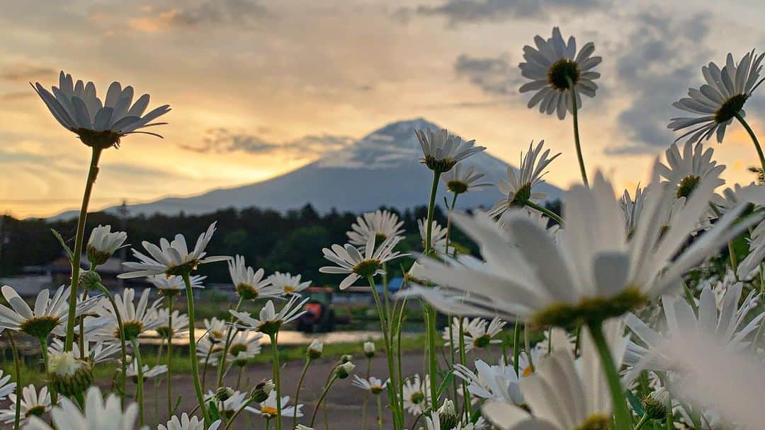 phantastic420のインスタグラム：「. 🤩🤩“Shizuoka” prefecture in Japan is a place where you can see the most “phantastic” Mt. Fuji🗻 in the world.🤩 #富士山 #mtfuji #japan 😇😇😇😇😇😇😇🗻😇😇 #誰も撮らない素敵な場所 😍 Thanks @next_fuji #nextfuji @visit.tokai @shizuoka_kankou #静岡dc #富士宮市 #photois #50000人の写真展 #日本の風景 #東京 @fujifilm_photois #nationalparksjp2019contest」