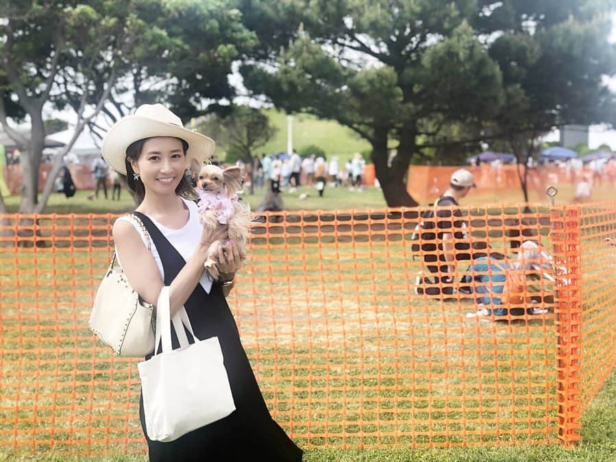 のインスタグラム：「こんなにヨーキーばかりいる空間に来た事が無い。w ・ ヨーキーだらけなヨーキーフェスに姫ちゃんを連れていきました☺︎ ・ お天気良く最高なお出かけ日和🌞 ・ 「姫ちゃんですか？」と声をかけていただいた方々が居て嬉しかったです☺︎✨ ・ 改めてSNSって凄いなぁ✨ど思いました☺︎ ・ 姫ちゃん、来年は歩けるよう頑張ろうね🐾 ・ みーんな可愛かった♡ ・ #来年はドッグレースに出たい #飼い主の野望 #1位 #姫ちゃん歩いて無いのに帰りの車の中、爆睡 #疲れた？ #ヨーキフェス #ヨーキーフェス2019 #ヨーキー#ヨーキーlove #わんこのいる生活 #わんことお出かけ #ヨーキー部 #横浜#ヨーキーだらけ#可愛い#アラフォー#アラフォーライフ#極小ヨーキー#yorkie#yorkshireterrier #instadog #家族#愛犬#holiday」
